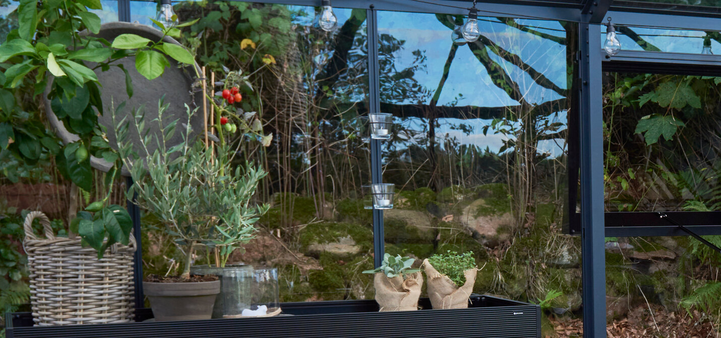 Tealights in the Greenhouse That's a Cosy Atmosphere